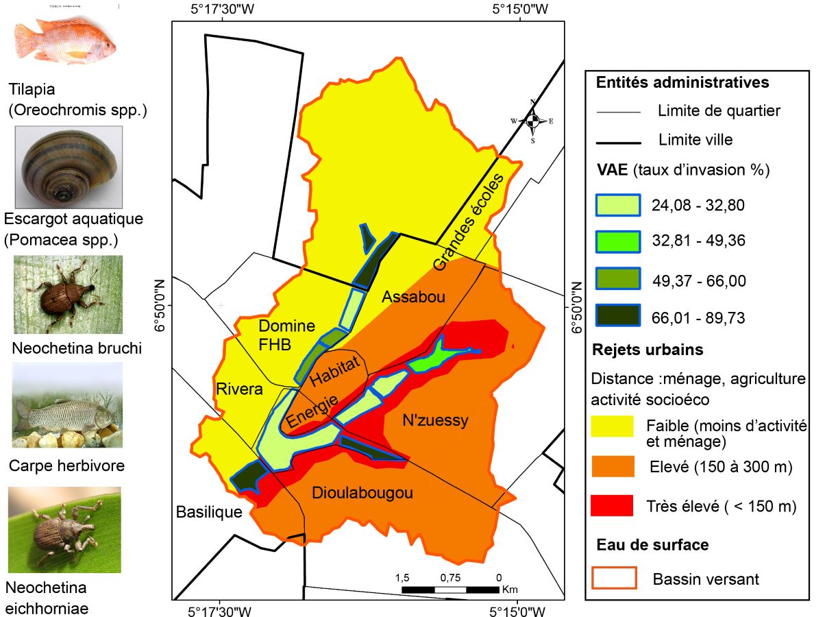 Description de la carte 1